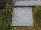 image of grave number 483621